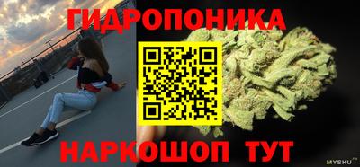 круглые Бердск