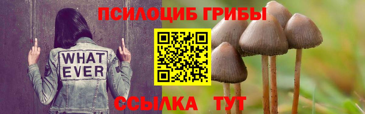 Калуга  Псилоцибиновые грибы ЛСД  Вход с VPN 